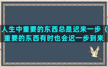 人生中重要的东西总是迟来一步（重要的东西有时也会迟一步到来 无论是爱情 还是生活）(人生中重要的东西很多)